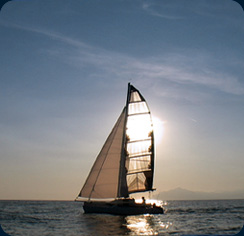 Silent taste - assaggio di vela